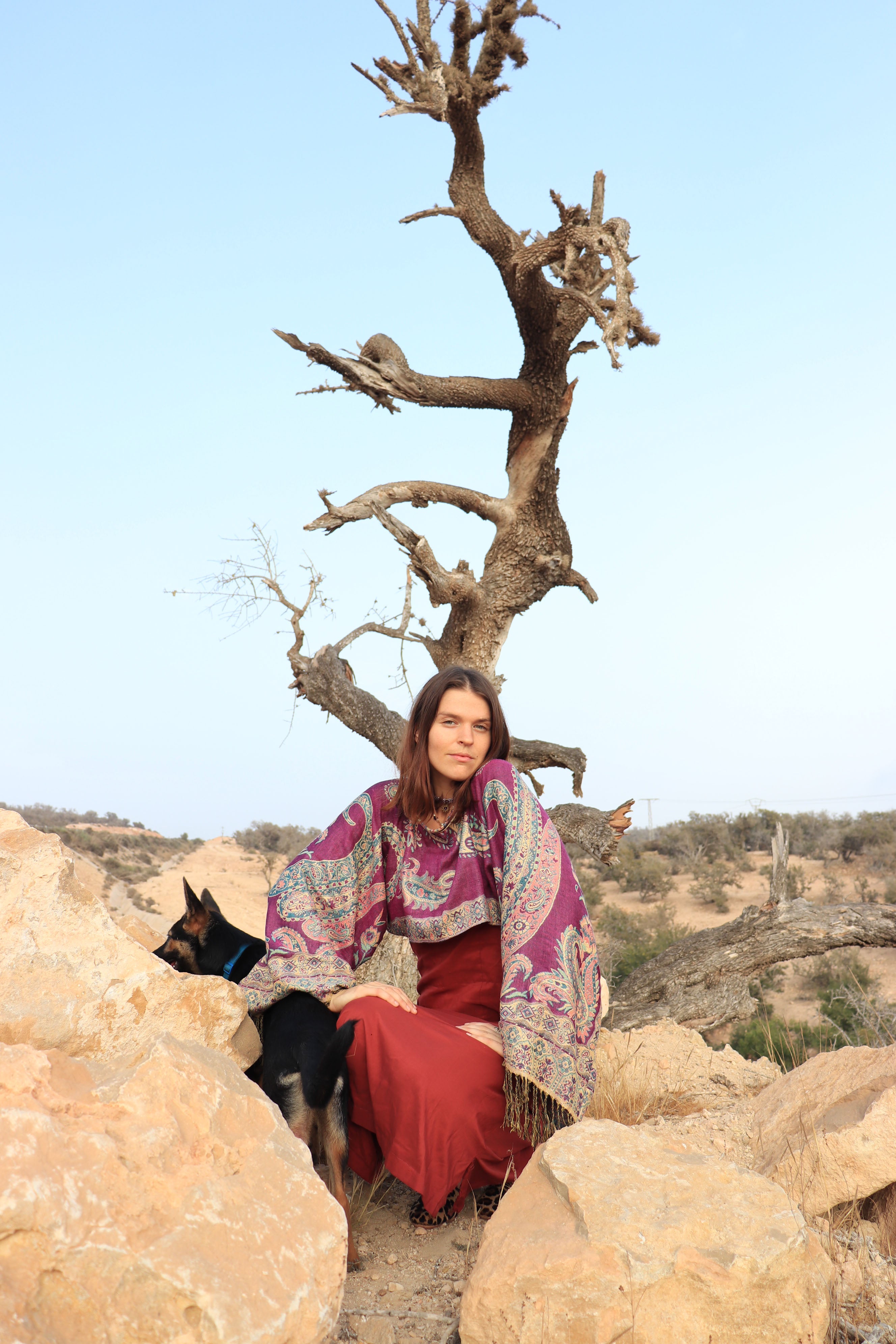 Woman sitting on a rock with a dog, wearing a patterned shawl and red dress, against a desert landscape with a bare tree.